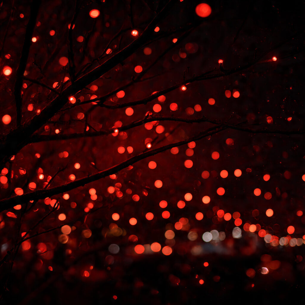 Red and White Christmas Lights for Elegant Holiday Decor 18 Combining Red and White with Gentle Motion Effects