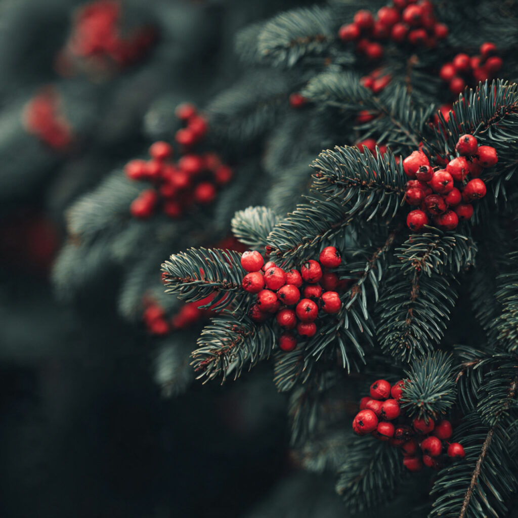 Pine Tree and Wreath Phone Screens